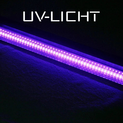 UV Licht